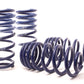 H&R 14-18 BMW X5 xDrive35d/X5 xDrive35i F15 Sport Spring (w/o Self-Leveling/Non 2WD)